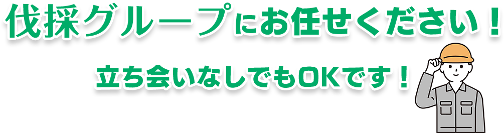 伐採グループにお任せください！立ち会いなしでもOKです！